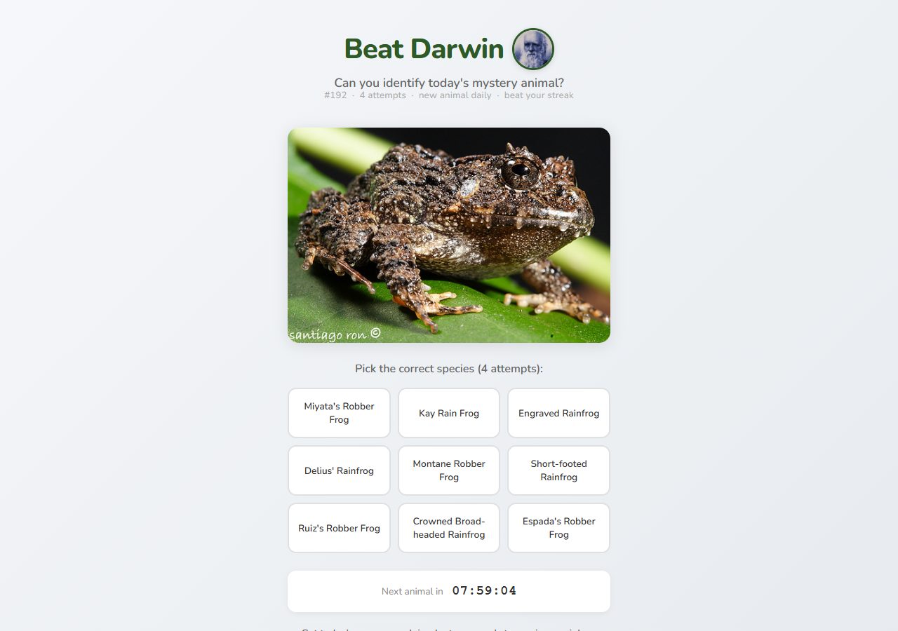Beat Darwin — aperçu